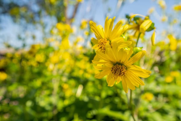 Park View Care Center