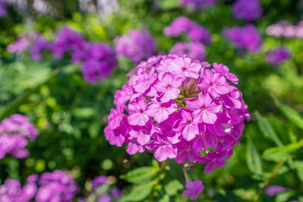 Park View Care Center