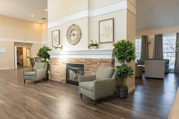 Walking Horse Meadows