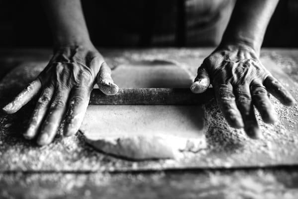 Walking Horse Meadows