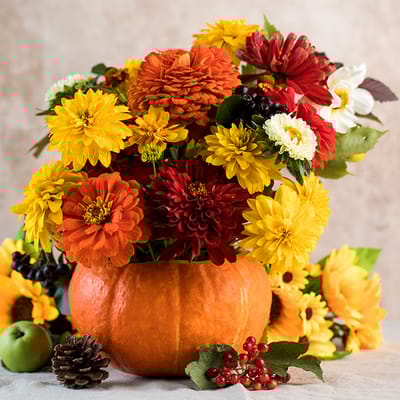 Old Southwest Rehabilitation and Nursing