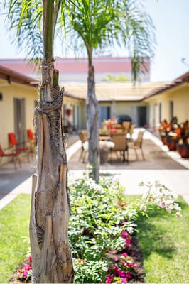 Outdoor seating area with palm trees and flowers