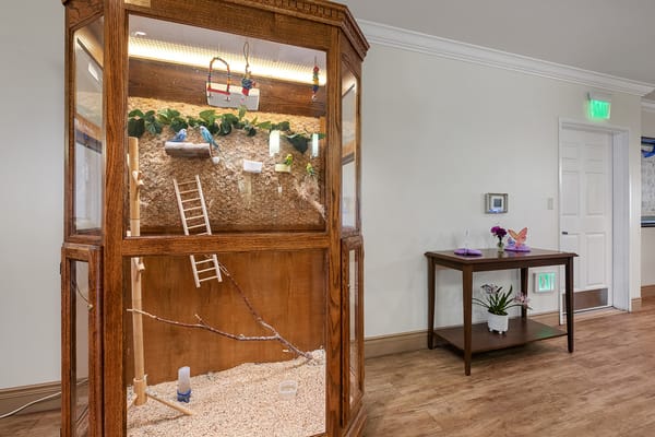 Interior view of a decorative display case in a common area