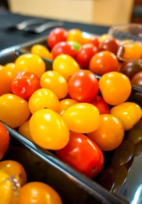 Peachtree Village of Holiday Island