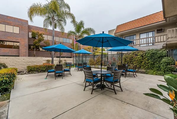Outdoor seating area with umbrellas and plants