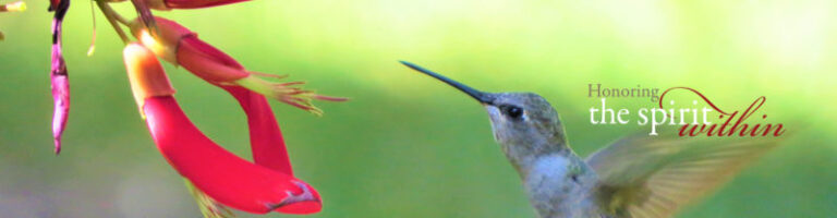 AltaVita Assisted Living