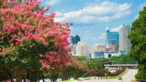 Caring Hands Home Health