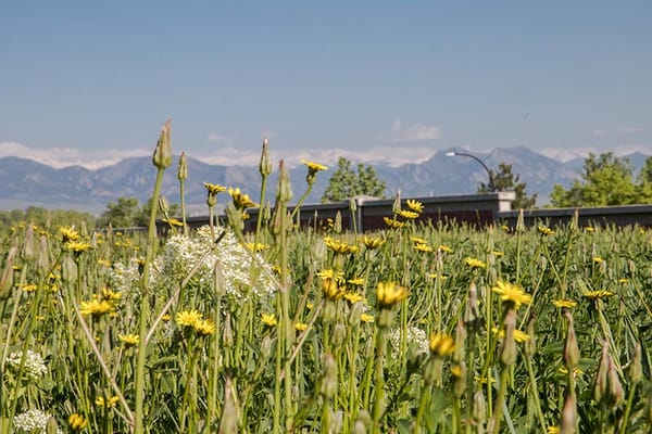 Arbor View Senior Living