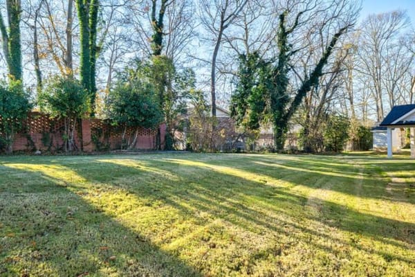 Well-maintained outdoor garden space with trees