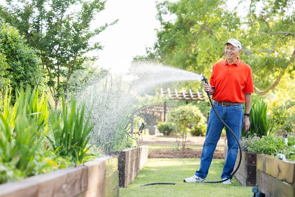 Senior man watering plants in a garden