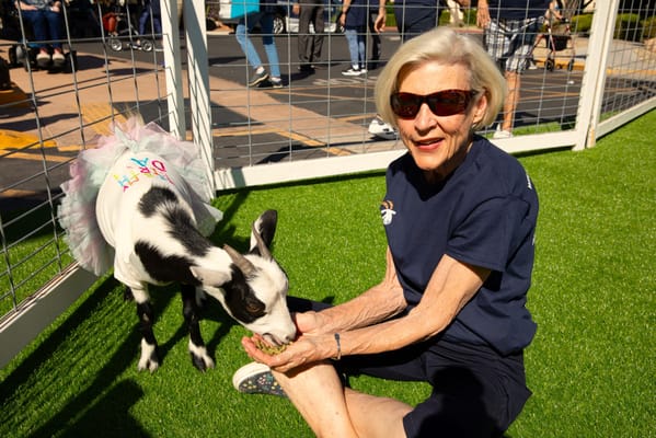 Westminster Village – Scottsdale