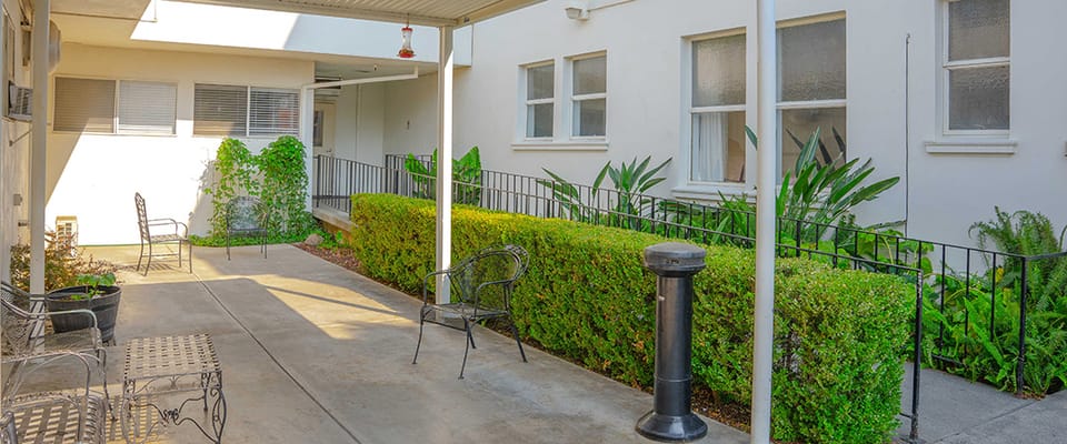 Outdoor garden area with seating and greenery
