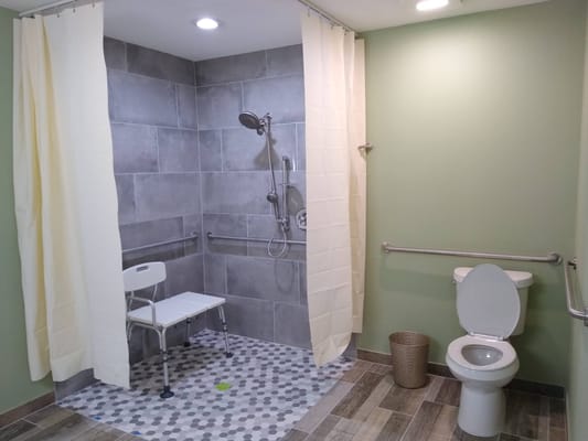 Accessible bathroom with shower and toilet facilities