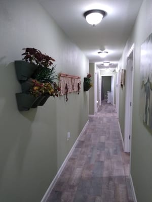 A hallway with decorative plants and artwork