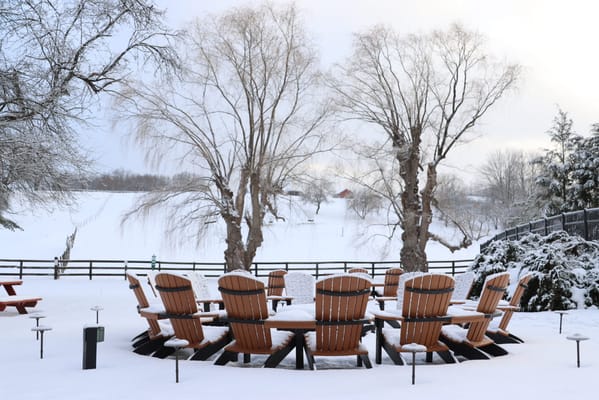 Maple Terrace Community Care