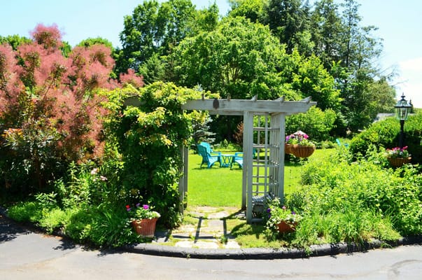 Maple Terrace Community Care