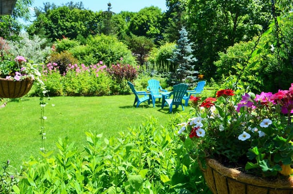 Maple Terrace Community Care