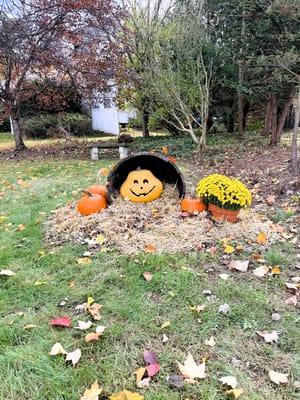 Maple Terrace Community Care