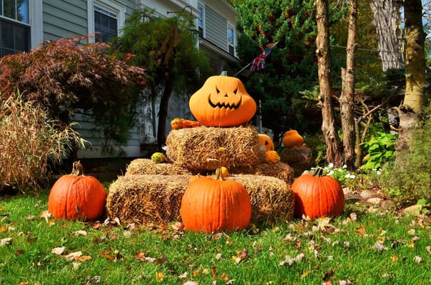 Maple Terrace Community Care