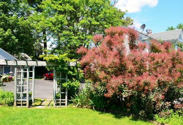 Maple Terrace Community Care