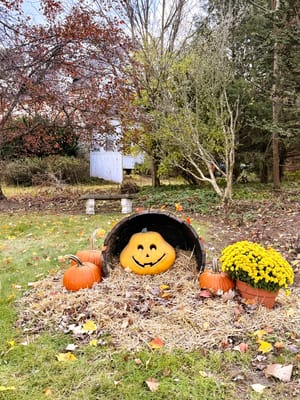 Maple Terrace Community Care