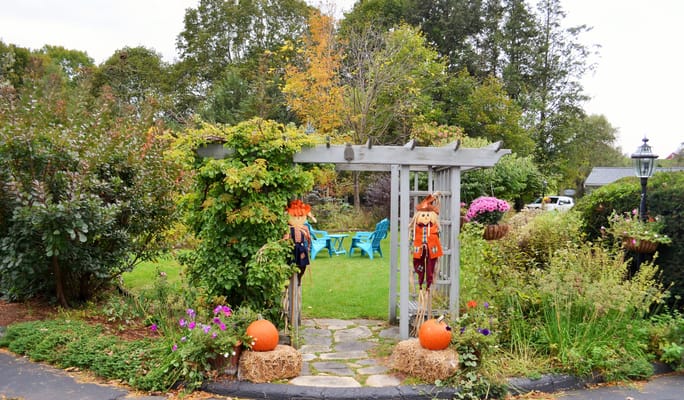 Maple Terrace Community Care