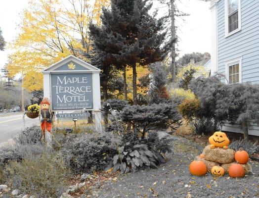 Maple Terrace Community Care