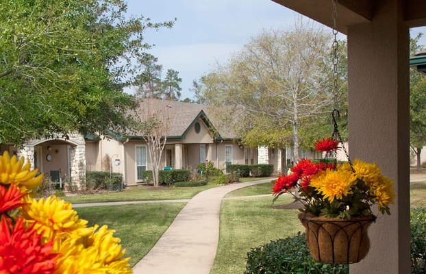 Pathway through landscaped outdoor space with flowers