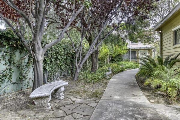 Pathway through a serene garden area