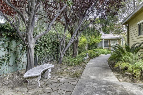 Pathway through a serene garden area