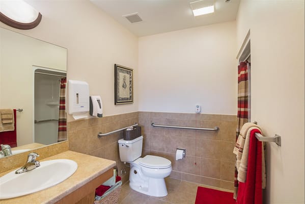Accessible bathroom with safety features and decor