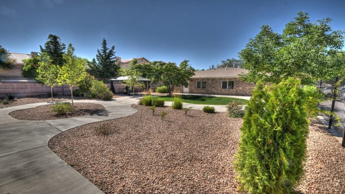 A landscaped outdoor area with trees and walkways