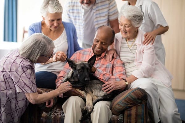 Residents interacting with a dog in a cozy common area