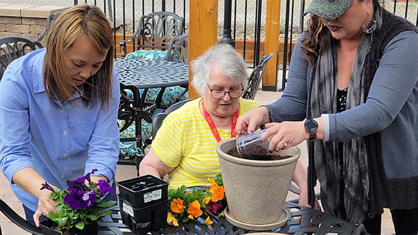 BeeHive Homes of Great Falls