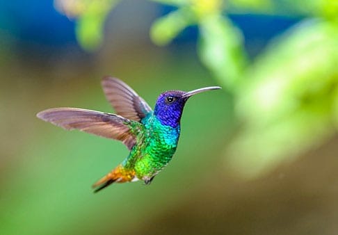 Bayview Retirement Community