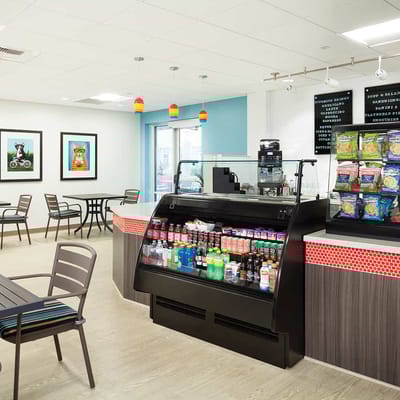 Bright common area with refreshment counter and seating