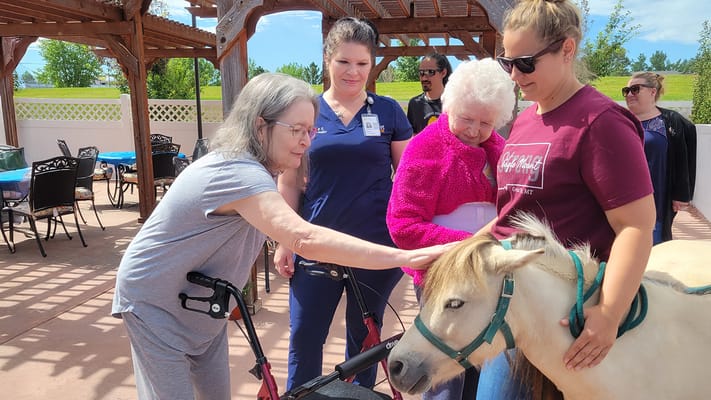 Residents interacting with a pony during an outdoor activity