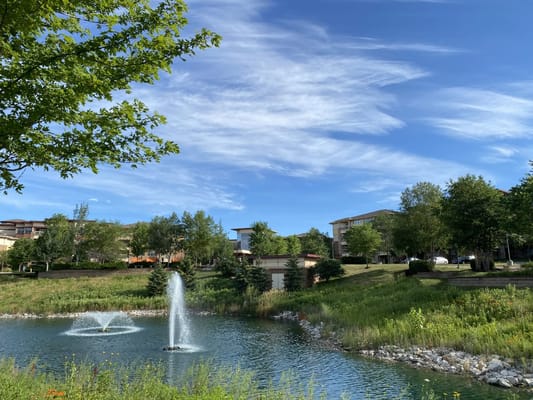 Pond with fountains and surrounding greenery at Edgewater community