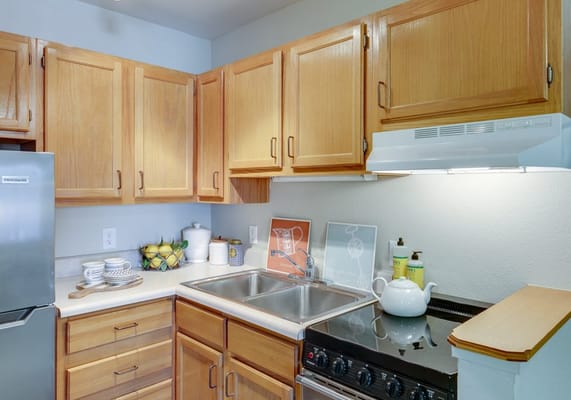 Well-equipped kitchen with wooden cabinets and sink