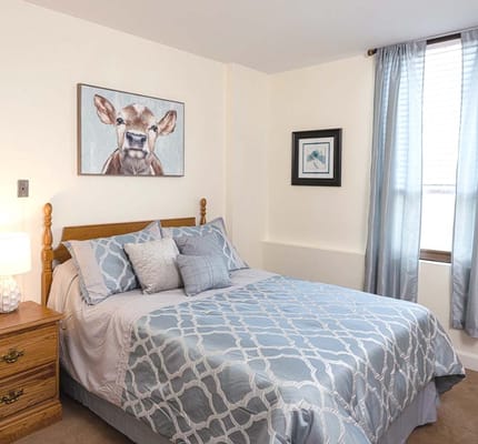 Cozy bedroom with a cow painting and light curtains
