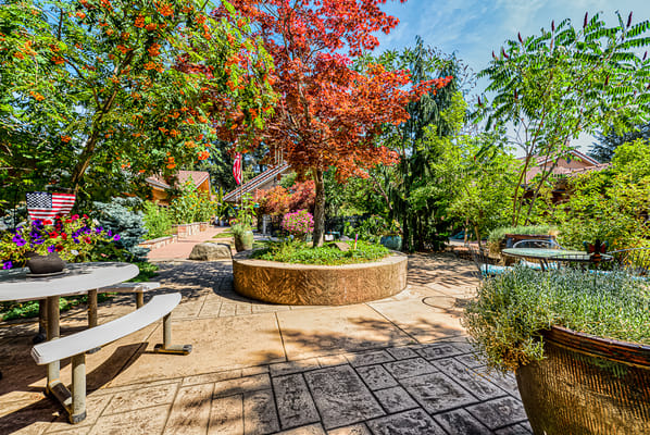 Beautiful outdoor garden space with trees and seating