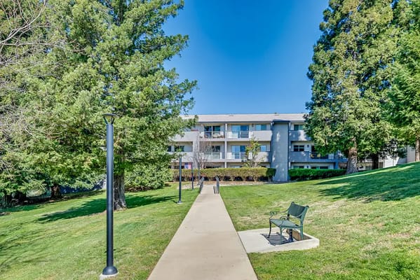 Pathway through well-kept outdoor space with seating