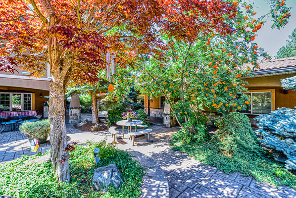 Beautiful outdoor space with colorful trees and seating