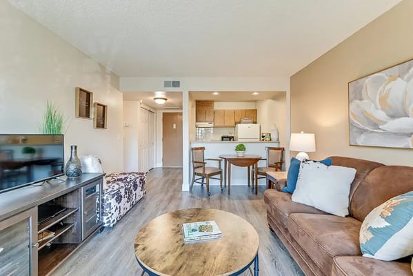 Cozy living room area with kitchen in background