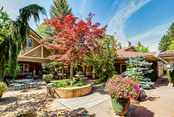 A vibrant courtyard with colorful plants and outdoor seating