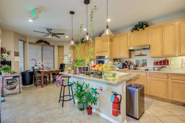 A bright and welcoming kitchen with plants and a variety of fruits on the counter.