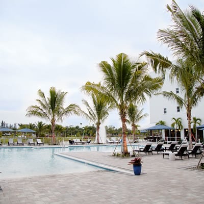 Outdoor pool area with palm trees and lounge chairs