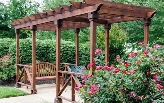 Wooden pergola surrounded by blooming roses
