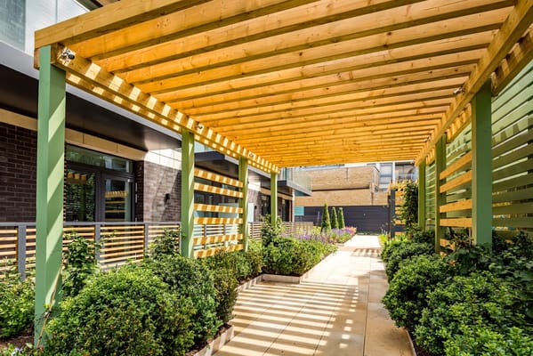 Pathway under a wooden trellis with greenery