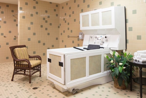 Accessible bathing facility with a chair and plants